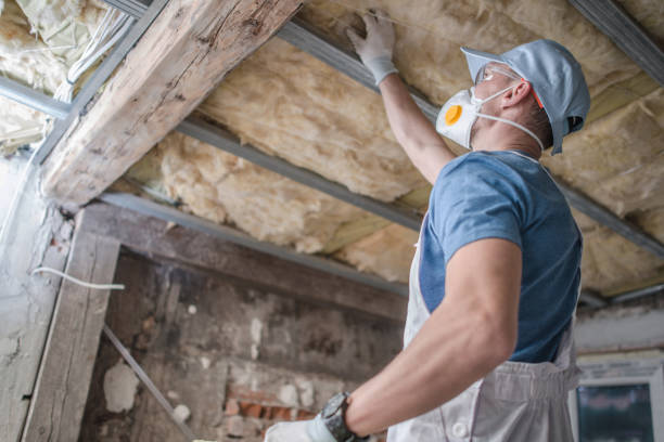 Best Insulation Inspection Services  in Dyersville, IA