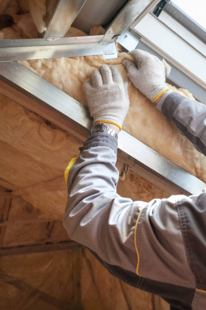 Professional Insulation Contractor in Dyersville, IA