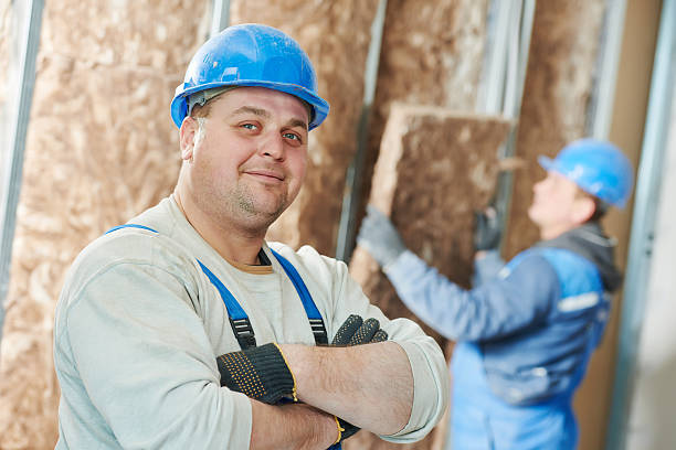 Best Insulation Replacement Services  in Dyersville, IA